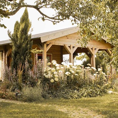 Chalet Ben In Broek Benningbroek Eksteriør billede