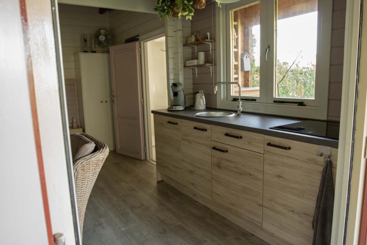 Chalet Ben In Broek Benningbroek Eksteriør billede