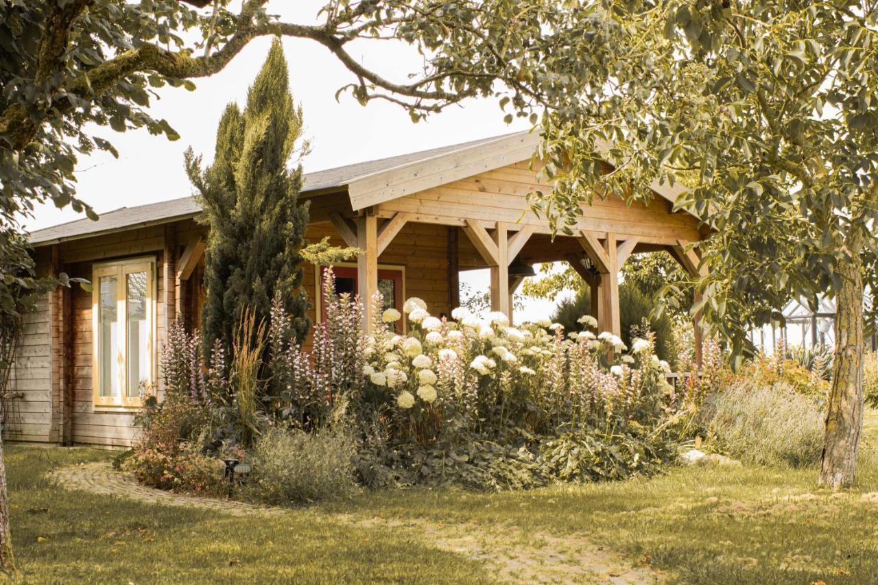 Chalet Ben In Broek Benningbroek Eksteriør billede